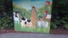 Farm animals